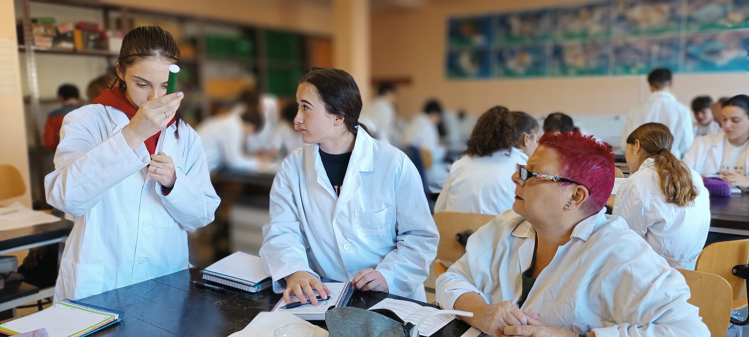 Encuentros con-ciencia Encuentros con-ciencia